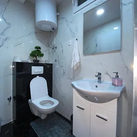 Carpe Diem Копер